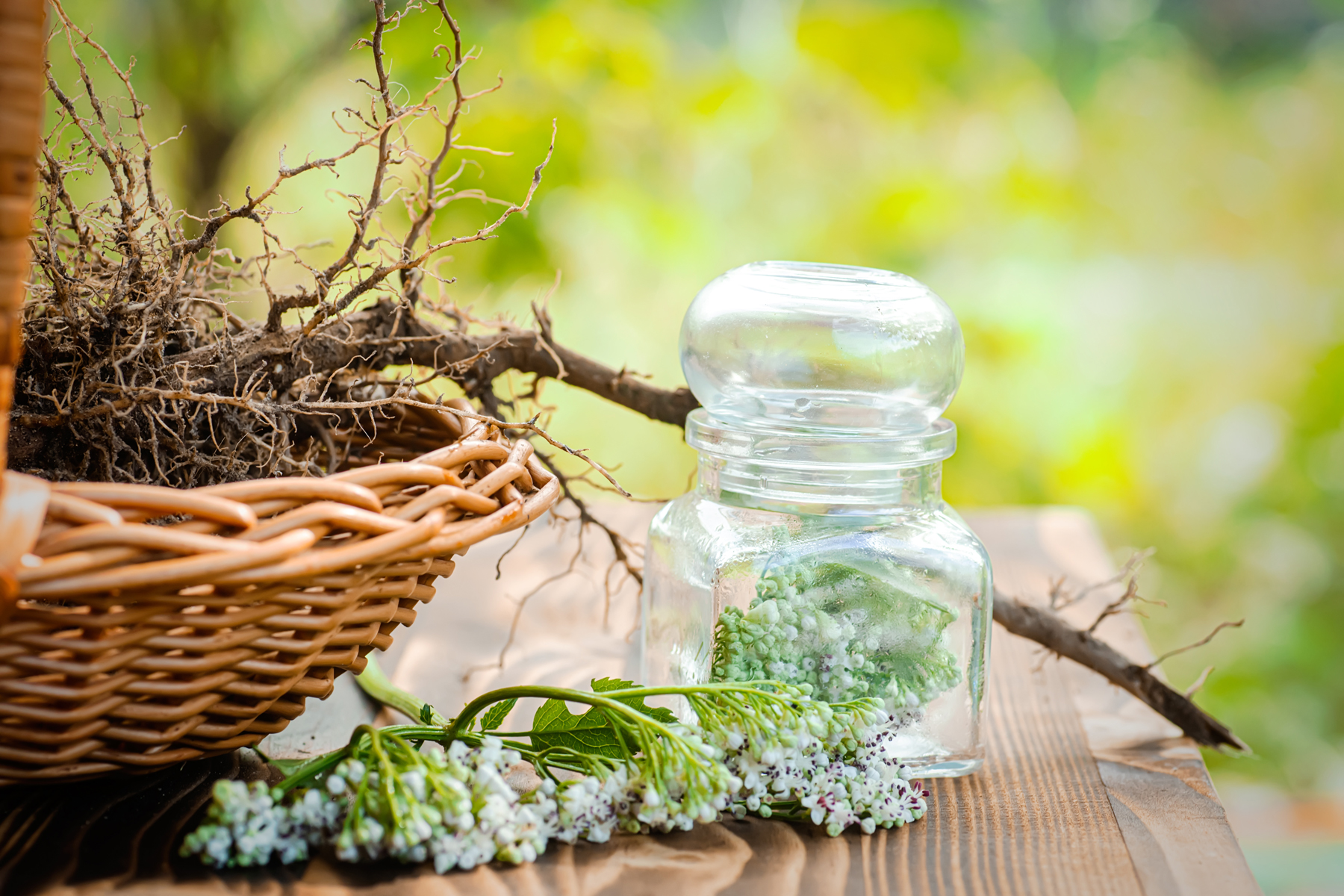 How Does Valerian Root Work for Sleep? Mother Earth News